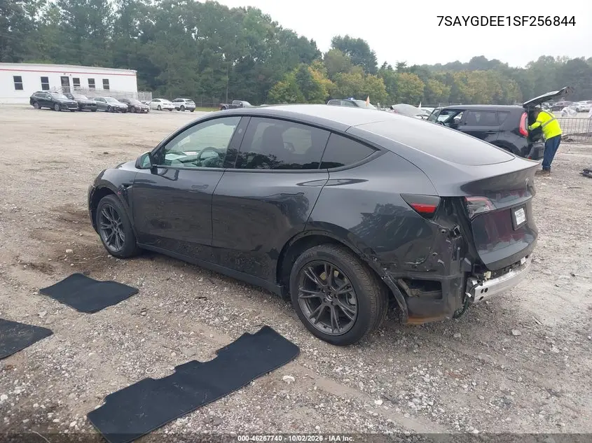 2025 TESLA MODEL Y VIN 7SAYGDEE1SF256844 — фото 3