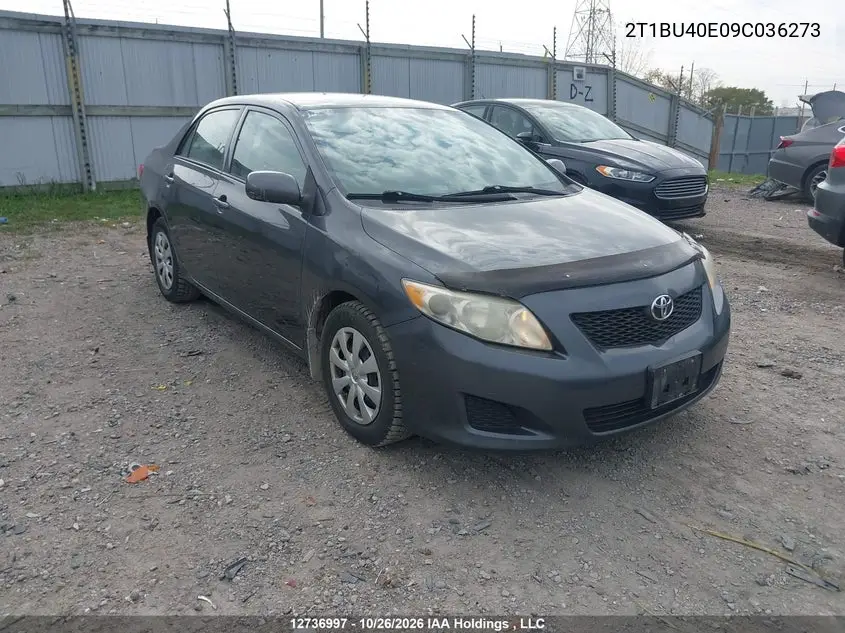 TOYOTA COROLLA 2009, VIN 2T1BU40E09C036273