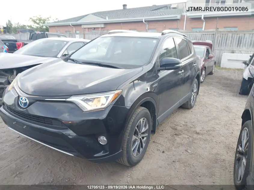 2016 TOYOTA RAV 4 VIN JTMRJREV8GD019086 — фото 2