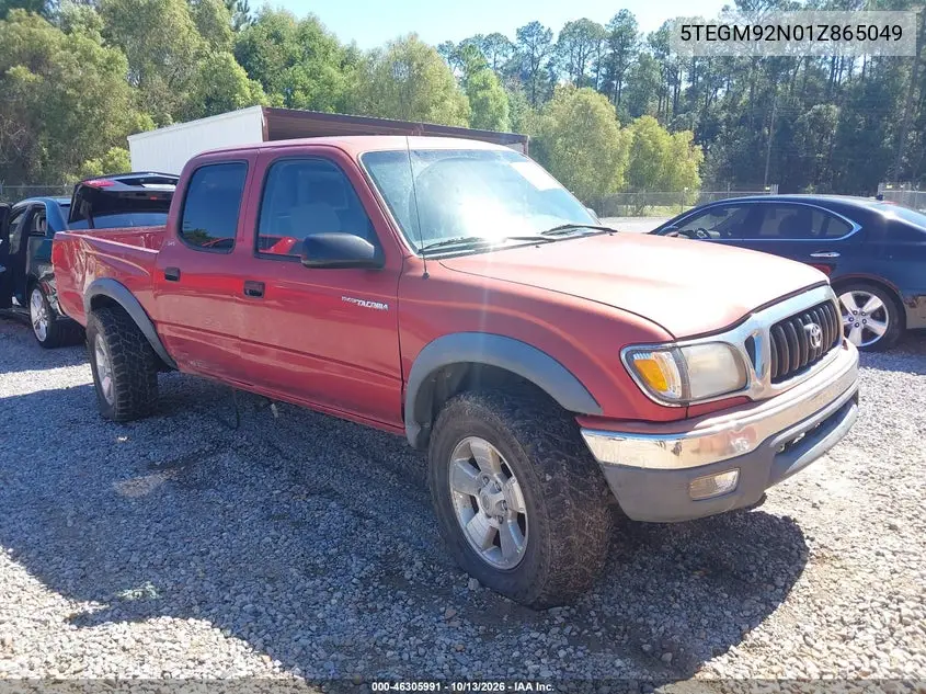 TOYOTA TACOMA 2001, VIN 5TEGM92N01Z865049