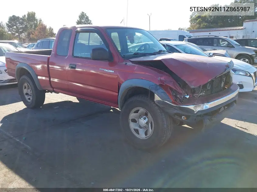 TOYOTA TACOMA 2001, VIN 5TESN92N11Z865987