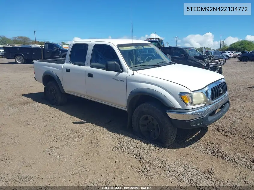 TOYOTA TACOMA 2002, VIN 5TEGM92N42Z134772