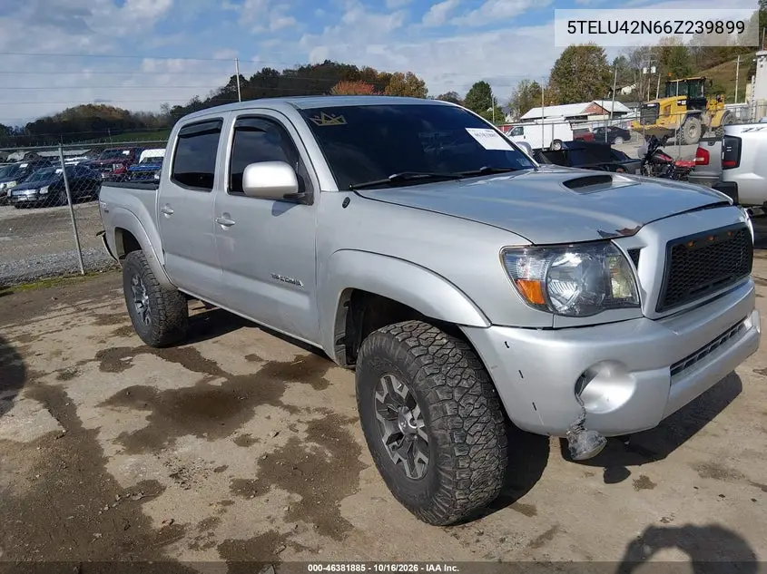 TOYOTA TACOMA 2006, VIN 5TELU42N66Z239899