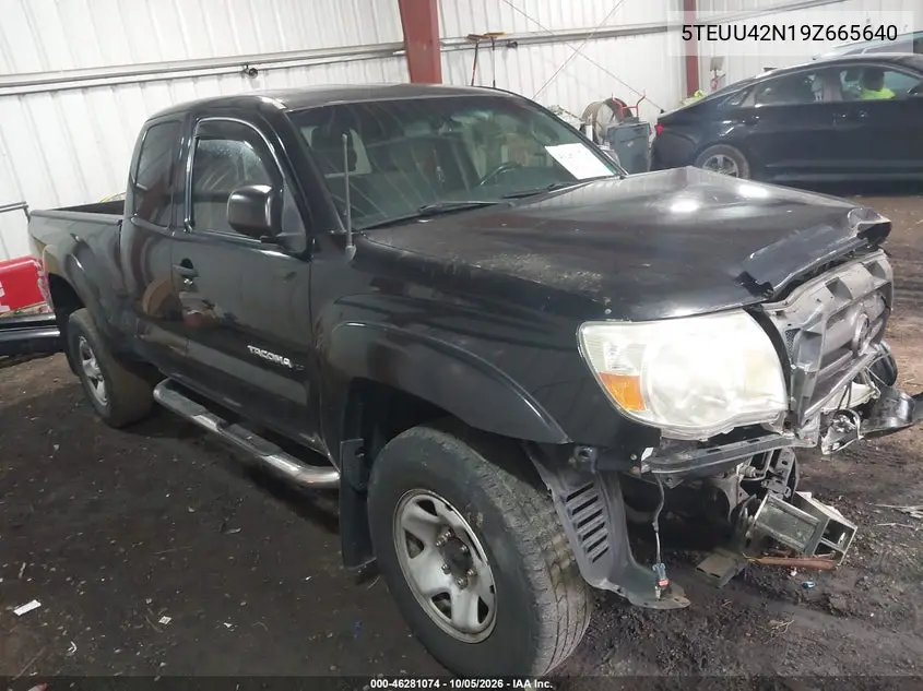TOYOTA TACOMA 2009, VIN 5TEUU42N19Z665640