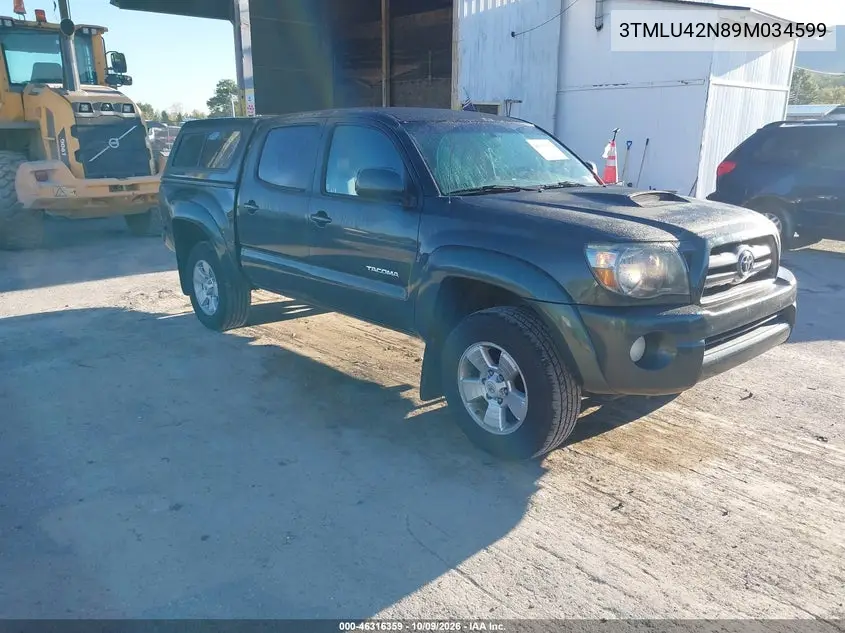 TOYOTA TACOMA 2009, VIN 3TMLU42N89M034599
