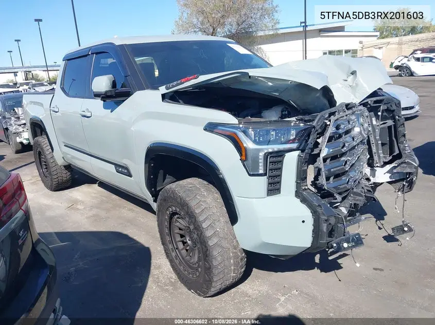 TOYOTA TUNDRA 2024, VIN 5TFNA5DB3RX201603