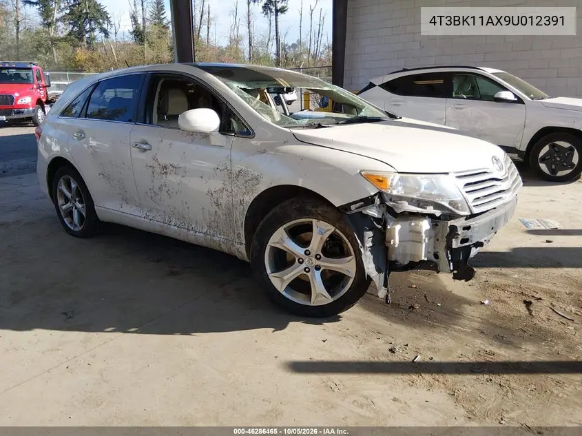 TOYOTA VENZA 2009, VIN 4T3BK11AX9U012391