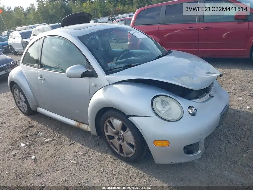 VOLKSWAGEN BEETLE 2002, VIN 3VWFE21C22M441514
