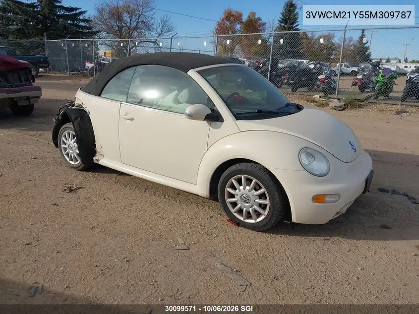 VOLKSWAGEN BEETLE 2005, VIN 3VWCM21Y55M309787