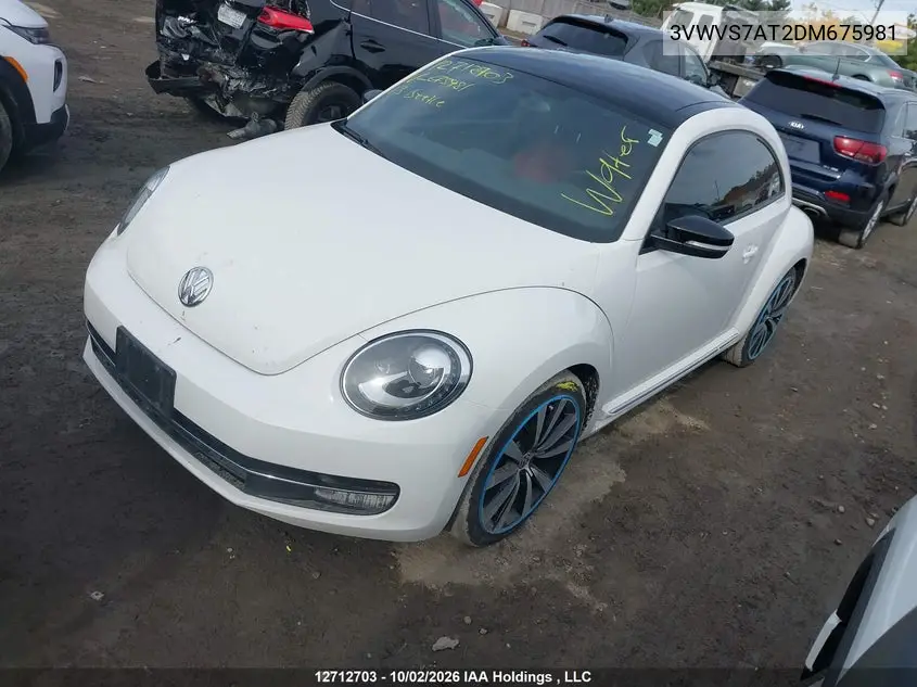 2013 VOLKSWAGEN BEETLE VIN 3VWVS7AT2DM675981 — фото 2