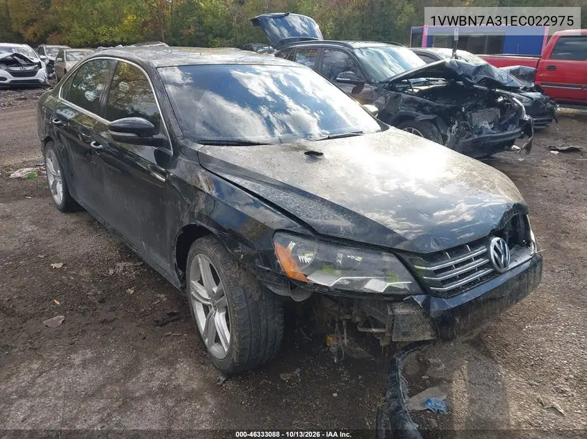 VOLKSWAGEN PASSAT 2014, VIN 1VWBN7A31EC022975