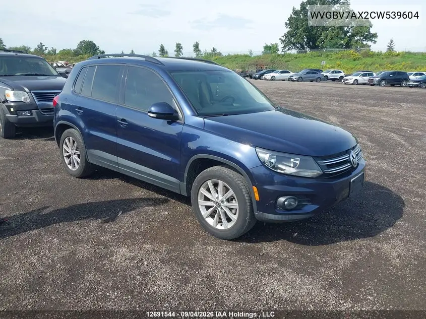 VOLKSWAGEN TIGUAN 2012, VIN WVGBV7AX2CW539604