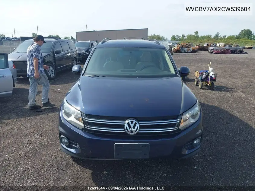 2012 VOLKSWAGEN TIGUAN VIN WVGBV7AX2CW539604 — фото 12