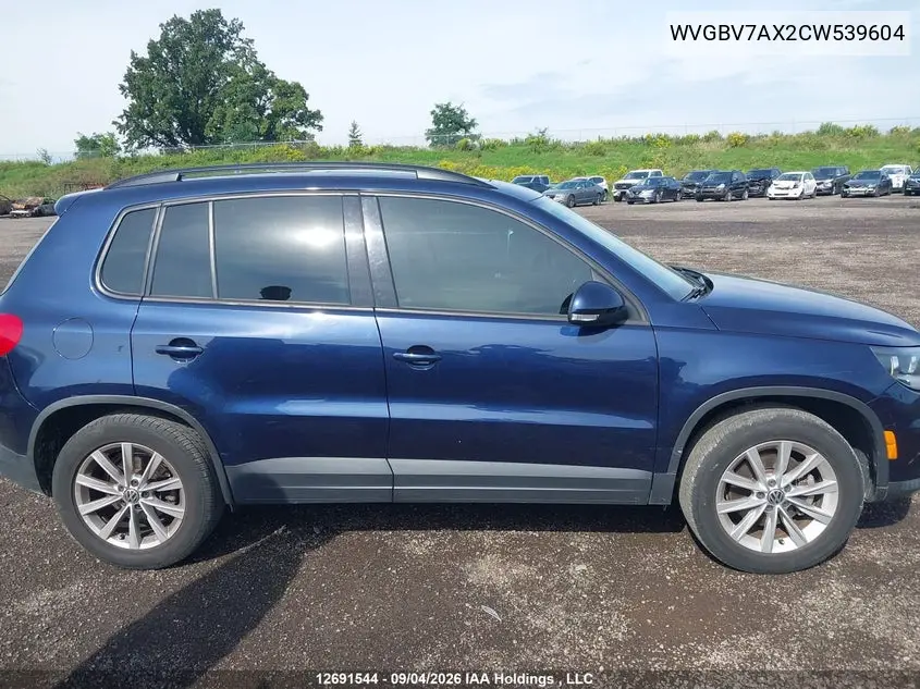 2012 VOLKSWAGEN TIGUAN VIN WVGBV7AX2CW539604 — фото 13