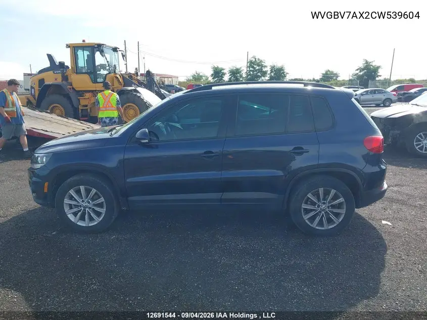 2012 VOLKSWAGEN TIGUAN VIN WVGBV7AX2CW539604 — фото 14