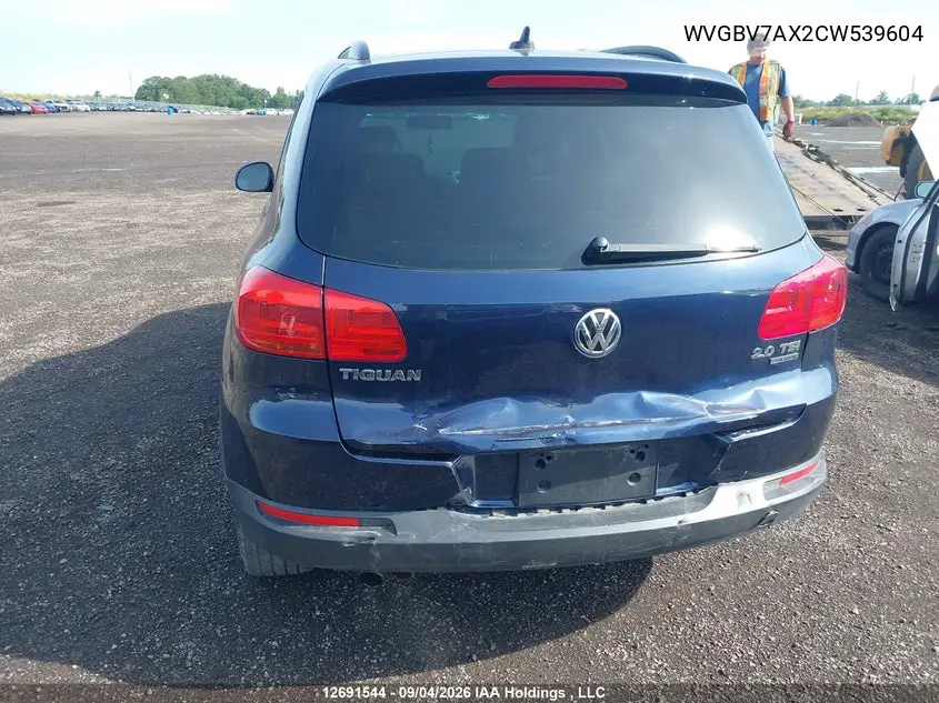 2012 VOLKSWAGEN TIGUAN VIN WVGBV7AX2CW539604 — фото 6