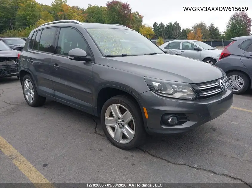VOLKSWAGEN TIGUAN 2013, VIN WVGKV3AXXDW615659